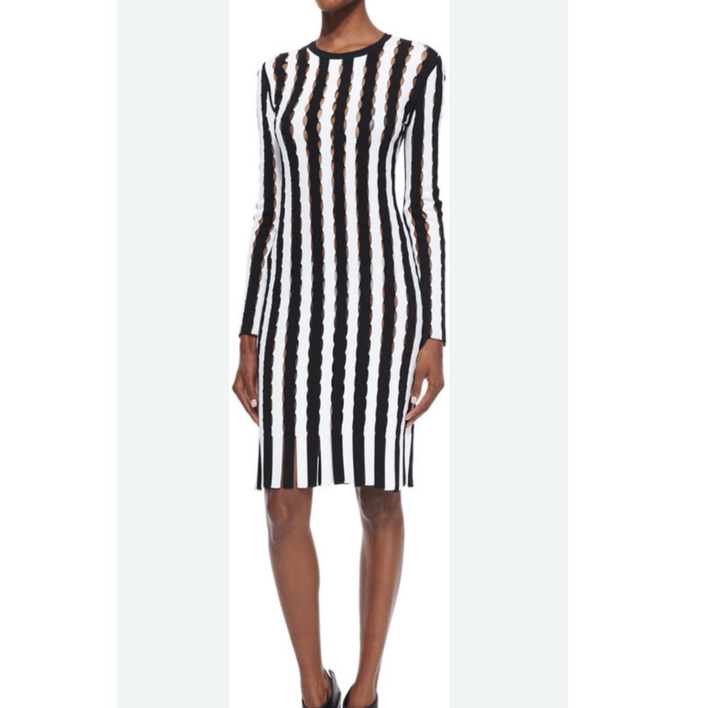 Alexander Wang Long Sleeve Striped Open-Knit Sheath Dress Size Large New w/ Tag